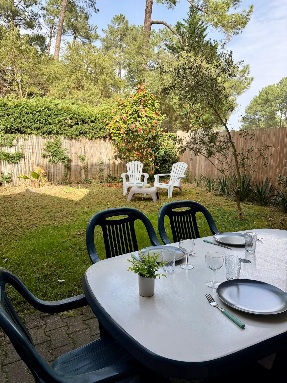 Le Cocon - Miniature 6