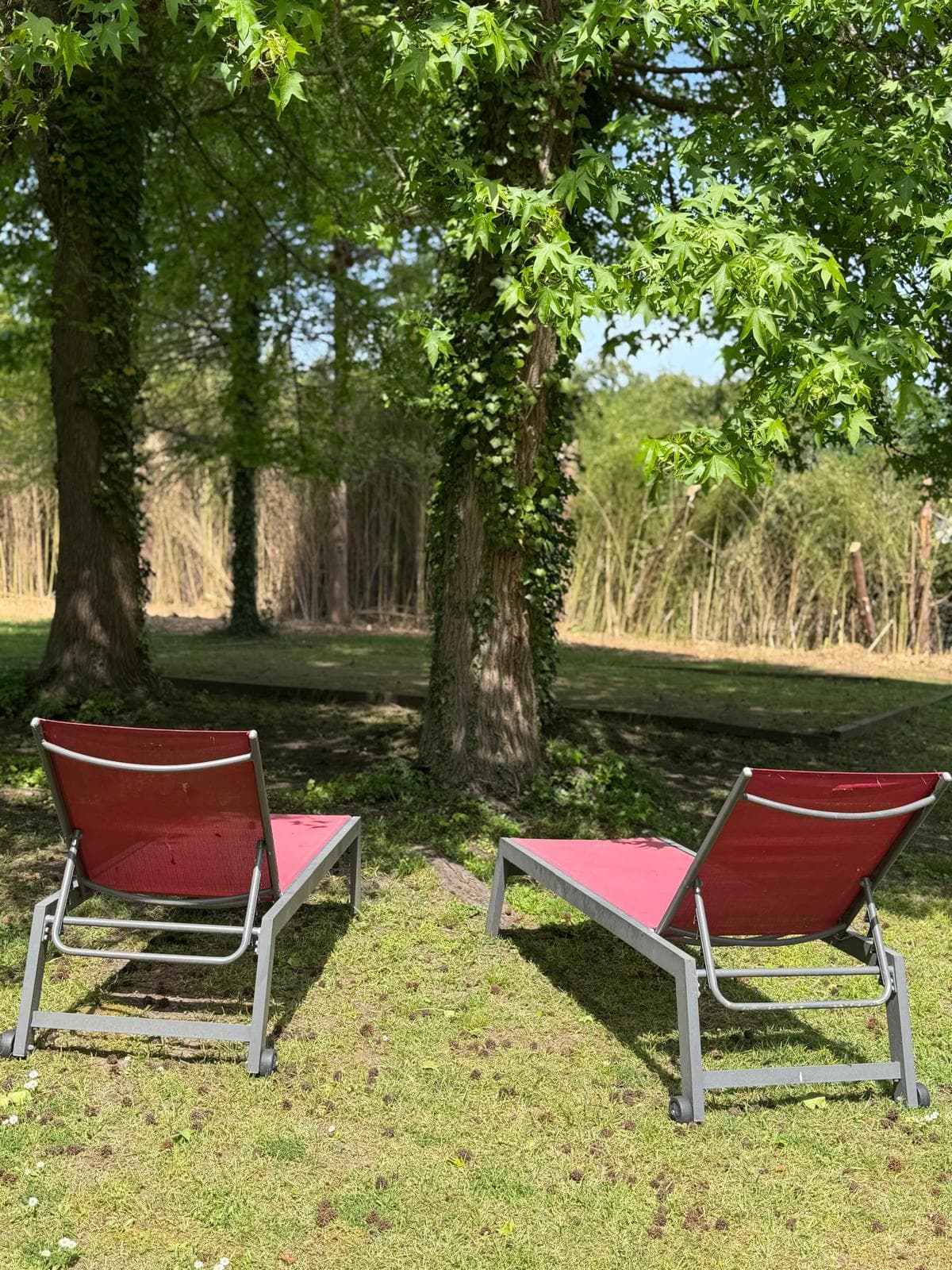 LE LOUN - Miniature 2