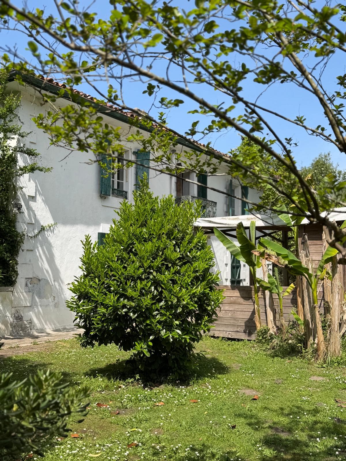 LE LOUN - Miniature 27