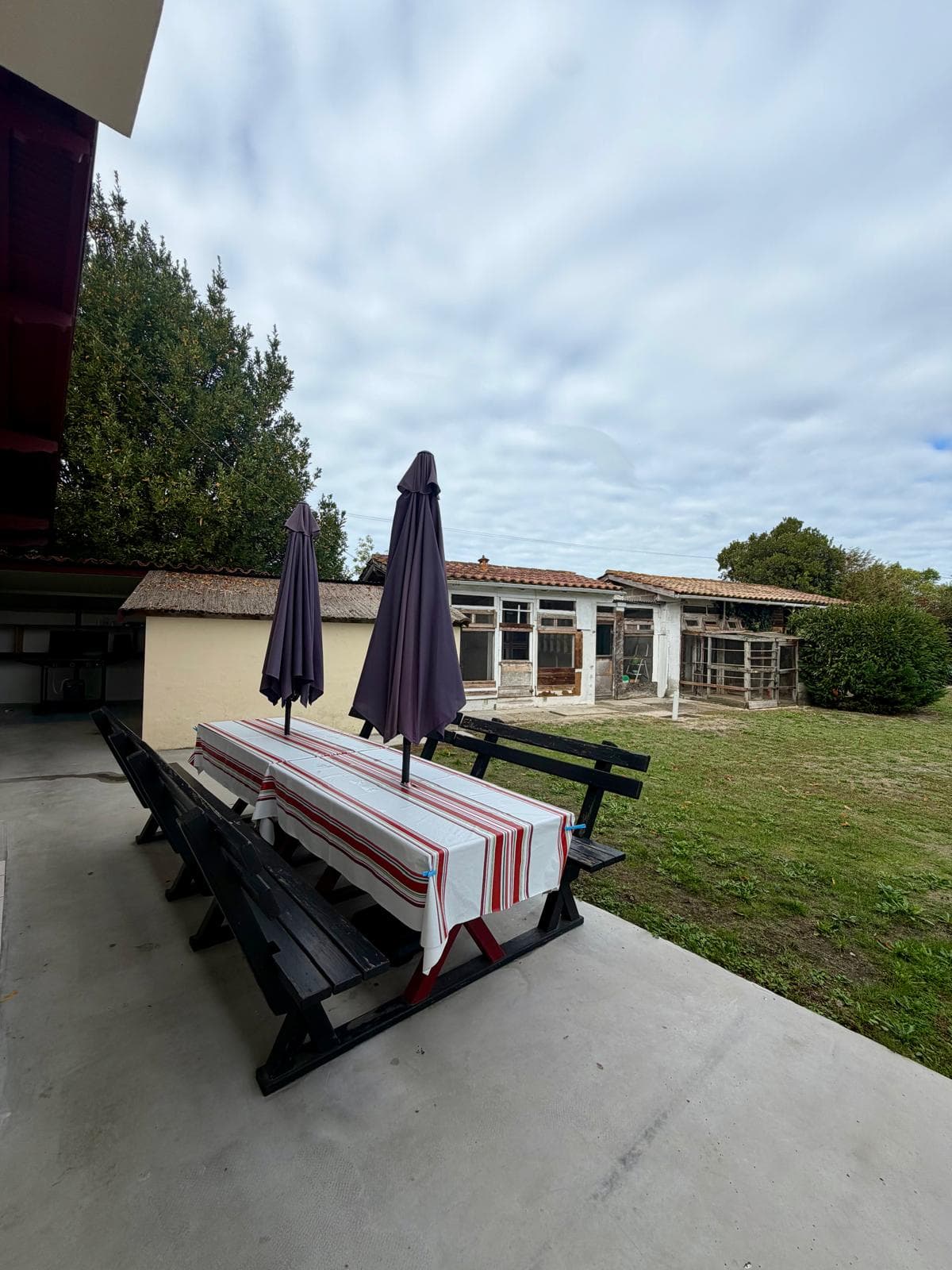 LES TOURTERELLES - Miniature 6